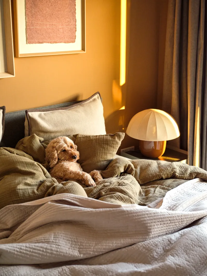 Tura Leeds, 3 bedroom apartments. Bedroom.