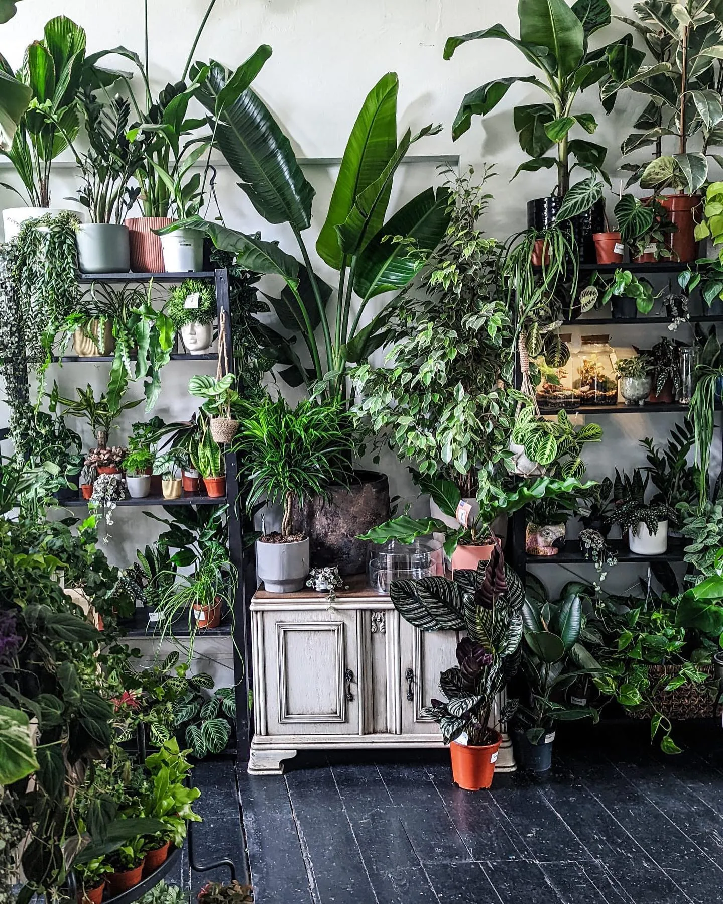 The Plant Point @theplantpoint